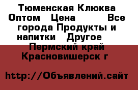 Тюменская Клюква Оптом › Цена ­ 200 - Все города Продукты и напитки » Другое   . Пермский край,Красновишерск г.